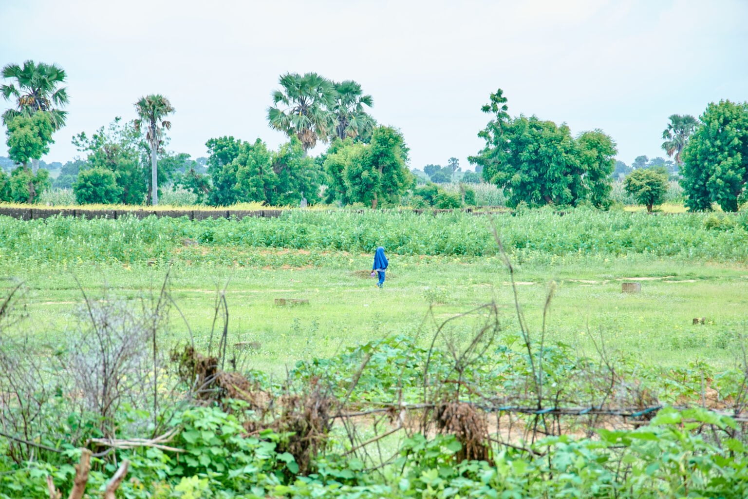 PIC-6-A-girl-wandering-on-the-street-of-Birnin-Magaji-community-1536x1024