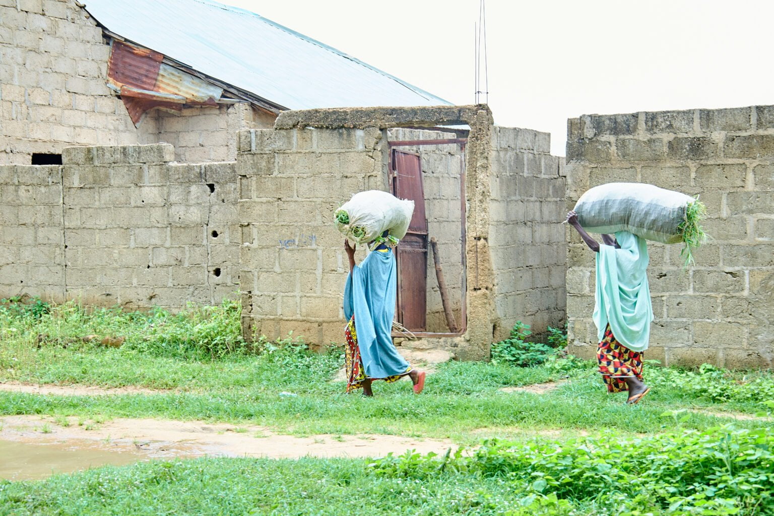 PIC-9-Women-returning-from-terrorists_-farm-field-1536x1024