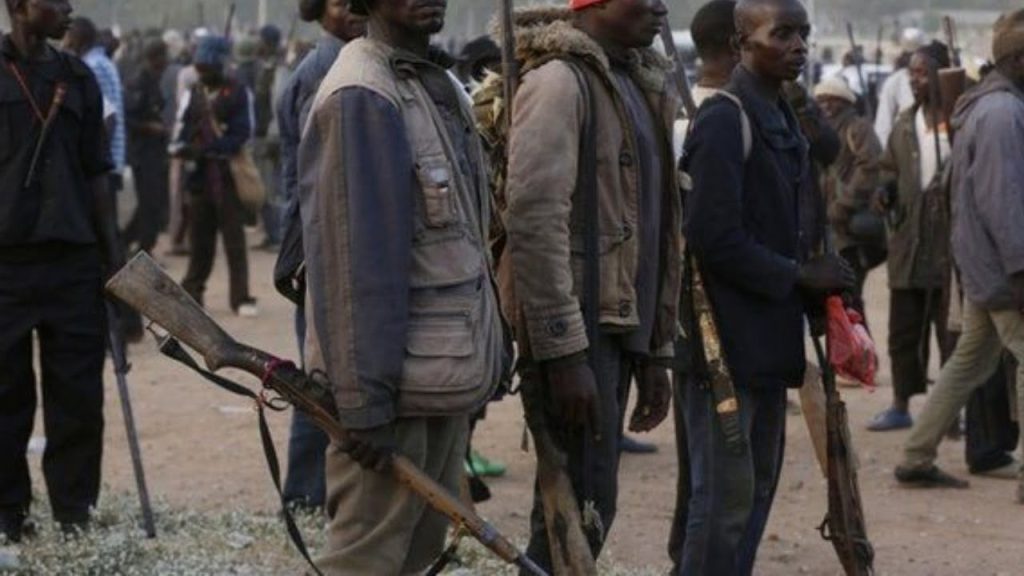 Kaduna Govt. trains 7,000 additional vigilantes