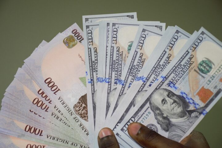 NEWS ANALYSIS: What forces are aiding the free fall of the Naira?