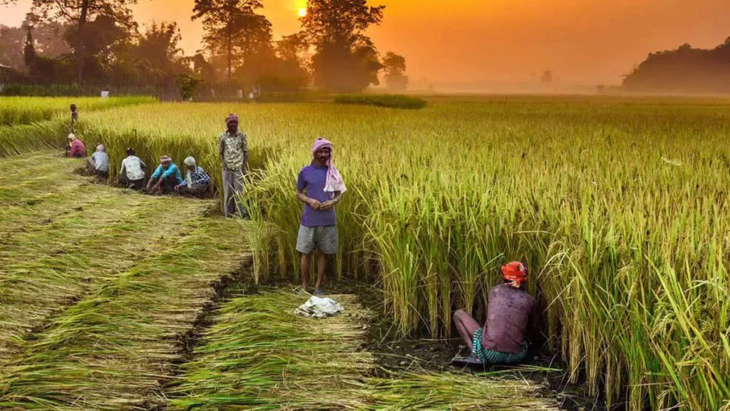 UK commits $15m to Nigeria’s agric sector