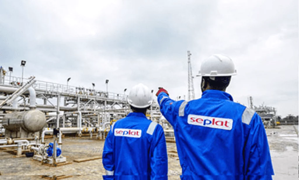 Gas will solve Nigeria’s energy challenge, says Seplat