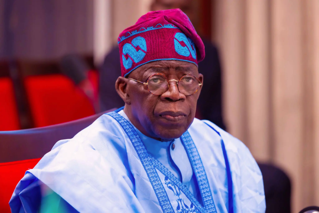 Stop attacking Tinubu over subsidy removal, presidential aide tells Nigerians